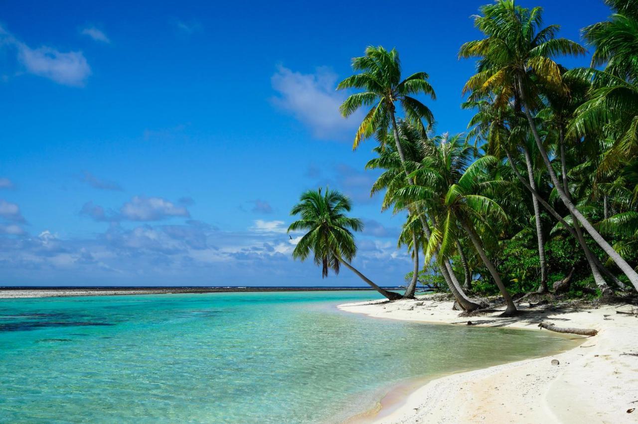 Ninamu Resort Tikehau Zewnętrze zdjęcie
