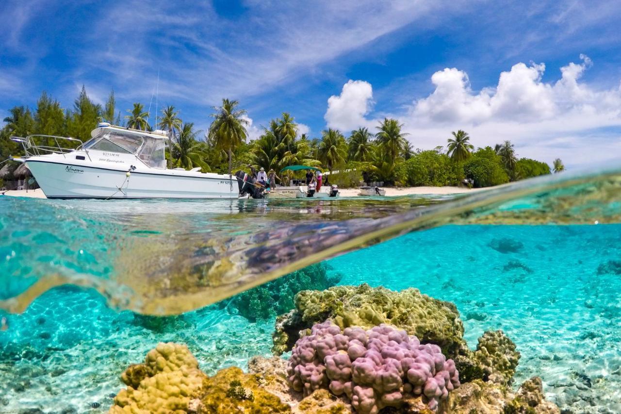 Ninamu Resort Tikehau Zewnętrze zdjęcie