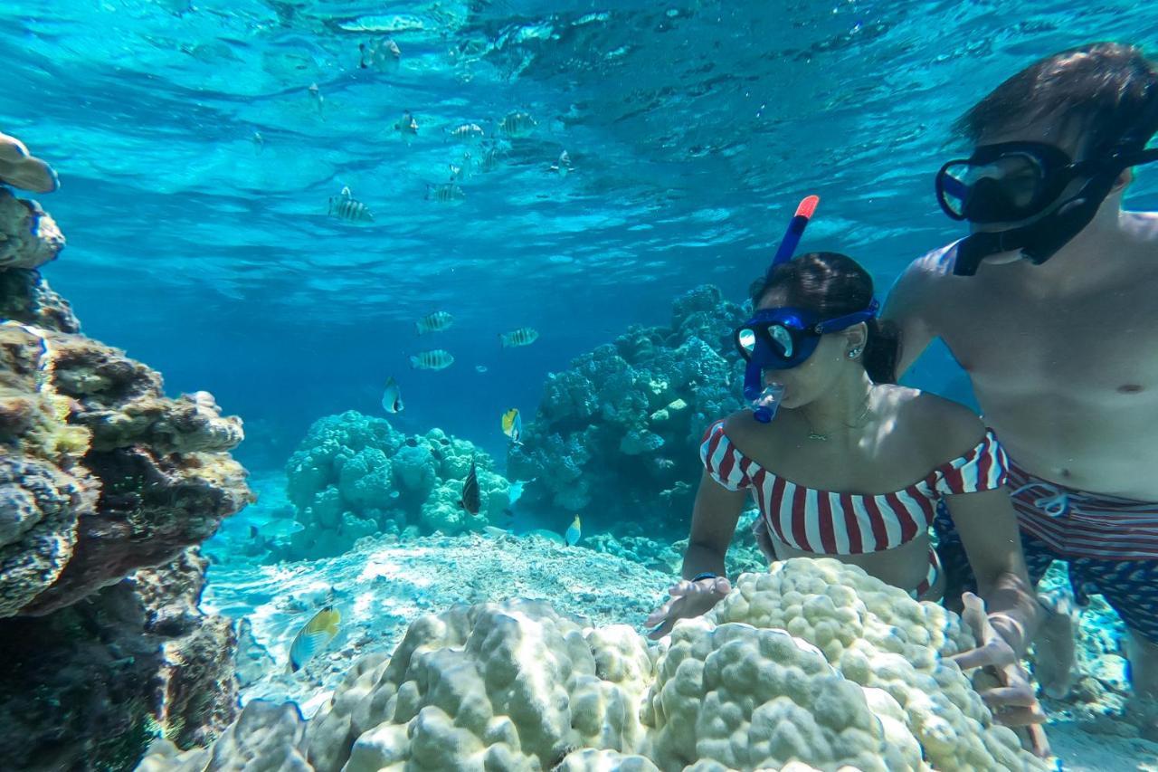 Ninamu Resort Tikehau Zewnętrze zdjęcie